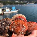 일등푸드 이미지