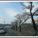 창원대로 이미지