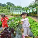 파주빅스맘어린이집 이미지