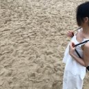 우당탕탕 사고뭉치 이미지