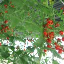 냉산쉼터 이미지