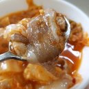 동해곰치 이미지