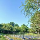 선바위농장 이미지