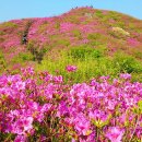 마을안관광코스 6코스 Daum카페