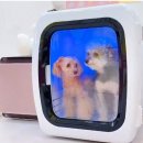 주식회사 펫츠 원 이미지