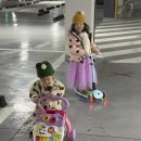 대동보조기 이미지