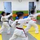 밝은i태권도장 이미지