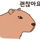 김명후다이어트복싱클럽 이미지