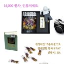 뜰이야기2 이미지