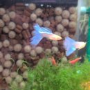 거봉약국 이미지