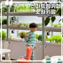 노원중앙도서관 | 서울 아이랑 갈만한곳 스마트팜 카페 노원 키팜 (feat.노원중앙도서관)
