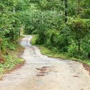 지리산꾸지뽕농장 이미지