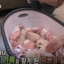 노원N동물의료센터 이미지