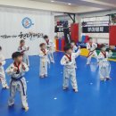 자란다 태권도장 이미지