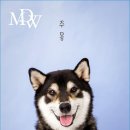 모두스튜디오