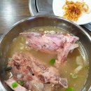 [23년 제주도 혼자 한달여행] 25일차 세화 모다정 - 평대해변 - 월정리해변 - 올데이피자서비스 - 김녕...