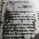 굴무기낭 이미지