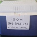 오리면돼지