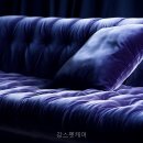 강스펫케어