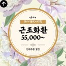 충주현대요양병원 | 성산현대요양병원장례식장 고급생화 근조화환 당일배송 주문방법