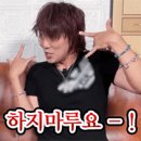 구두고양이