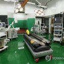 제주대학교 말전문동물병원 이미지