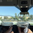 태연팜 | 조슈아트리 투어 후기 | 뚜벅이 여자 둘의 LA 여행 | 내돈내산