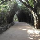 제주그루 이미지