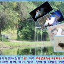 청기와낚시점