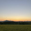 환성농장 이미지