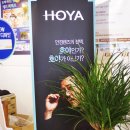 아이젠트리 안경.콘택트 이미지