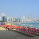 해운대해수욕장 이미지