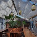 2171 | [성수동 베이커리카페 추천] 천상가옥 성수동 카페, 반려동물과 함께