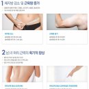 모모렌탈