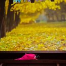 국립부여박물관 공연장 이미지