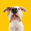 (단기_온라인)진로포트폴리오(자격증) 이미지