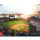 탄천종합운동장 탄천야구장 이미지