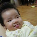 서정약국 | 제가 너무 늦었습니다