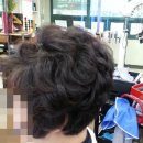 엠스헤어 이미지