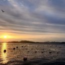 한마음콘도 이미지