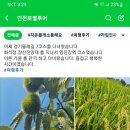 인천로열투어 이미지