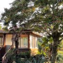 부영화원 이미지