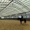 분당승마클럽 이미지