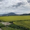 동읍1260 이미지