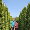 2025 제주여행(휴애리자연생활공원) 이미지