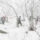 귀둔리 용소골 이미지