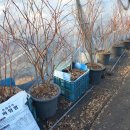 성목목장 이미지