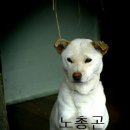 김석범농장 이미지