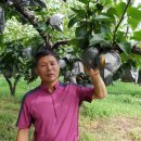 홍성수농장 이미지