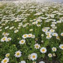 한라시티공인중개사사무소 이미지